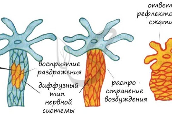 Где найти рабочую ссылку кракен