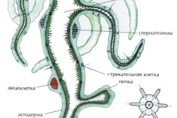 Кракен маркетплейс зеркало