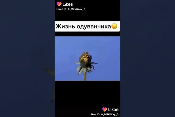 Кракен актуальное зеркало