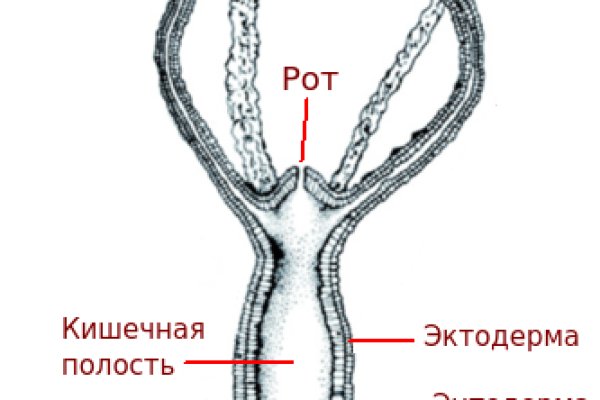 Новая ссылка на кракен