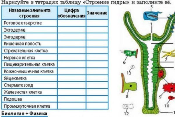 Кракен даркнет маркет плейс