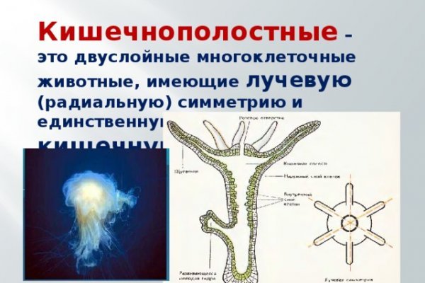 Магазин кракен даркнет сайт